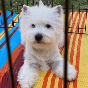 Meet your Posher, Sherry